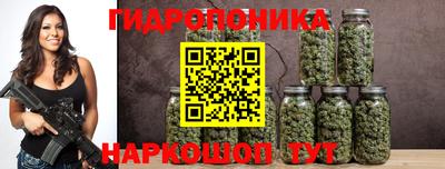 стафф Чебоксары