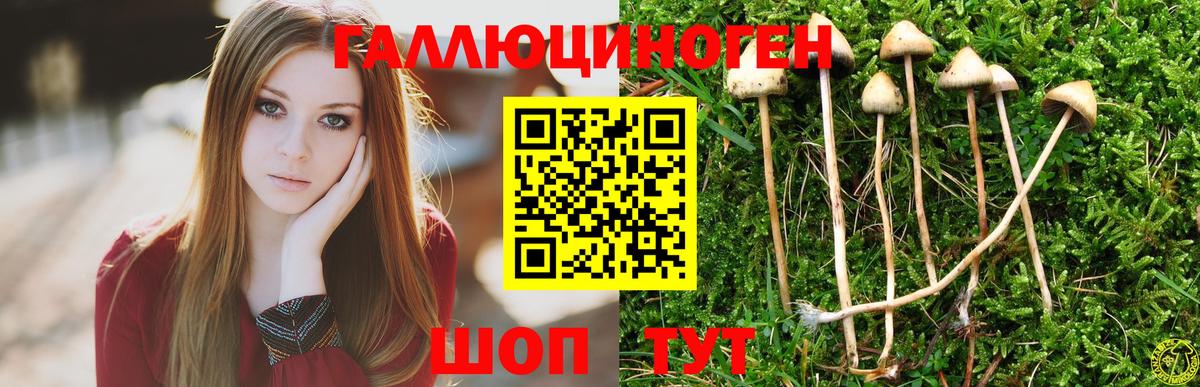 Галлюциногенные грибы GOLDEN TEACHER Ростов-на-Дону