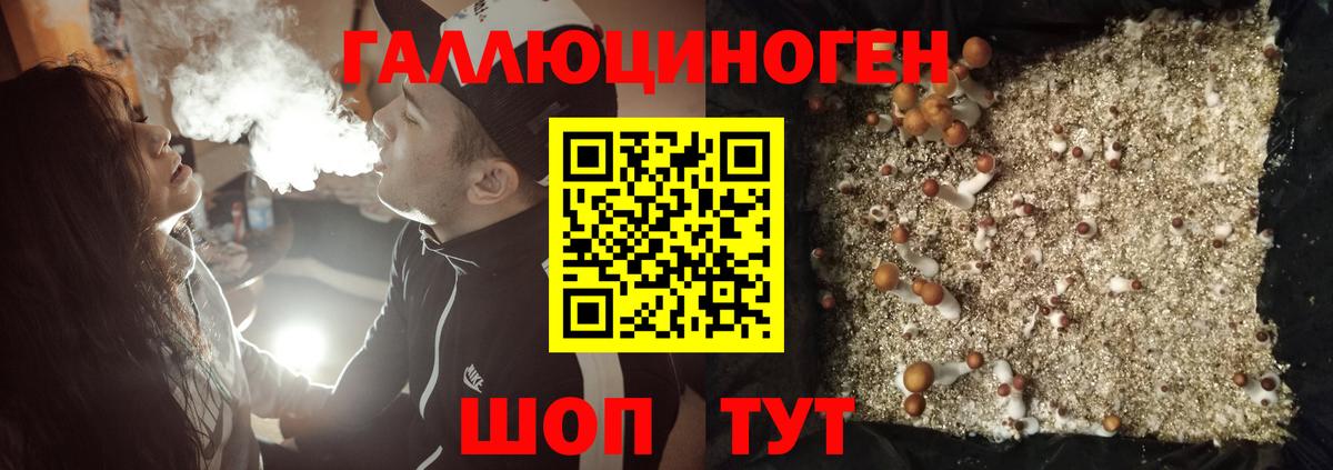 Ростов-на-Дону  Галлюциногенные грибы Cubensis  Псилоцибиновые грибы GOLDEN TEACHER  Вход с VPN 